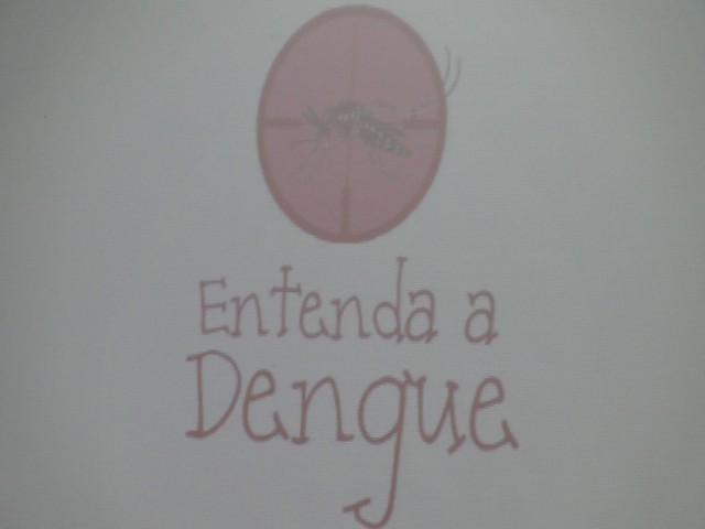 Combate  Dengue - 2013