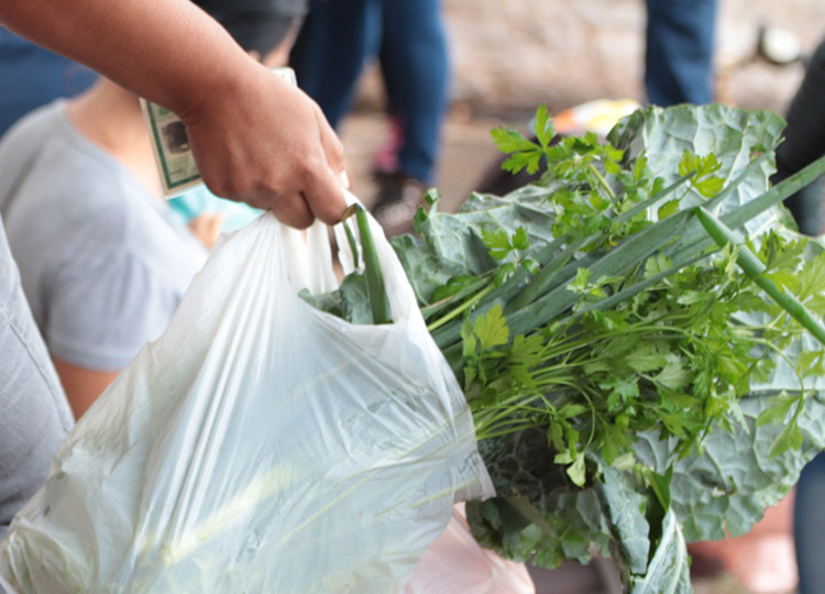 Alunos do da Rede Municipal j receberam mais de 43 mil quilos de alimentos