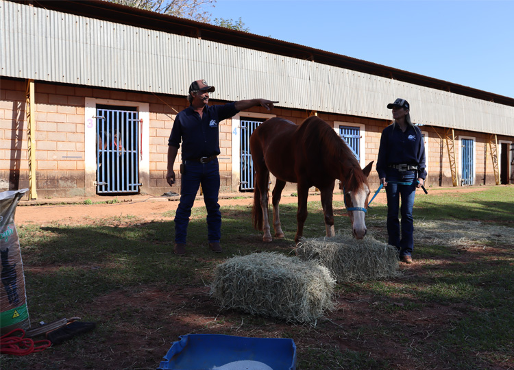 Centro de Equoterapia realiza evento para divulgar seus projetos para familiares de alunos