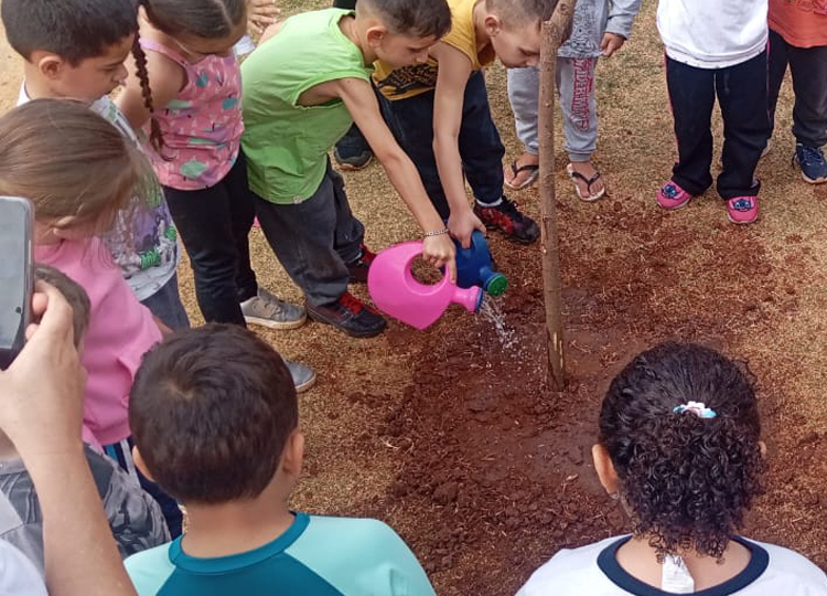 EMEI O Pequeno Polegar inicia Ms da rvore com plantio simblico realizado por alunos