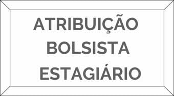 9 ATRIBUIO BOLSISTA ESTAGIRIO