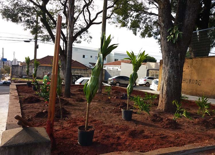 Escola Joo Mendes Jnior recebe novo paisagismo