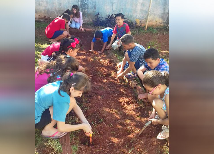 Meio ambiente  tema de projeto na escola Joo de Castro