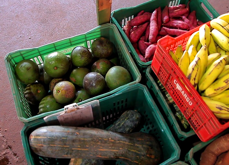 Prefeitura distribui kits de alimentos a alunos da Rede Municipal de Ensino